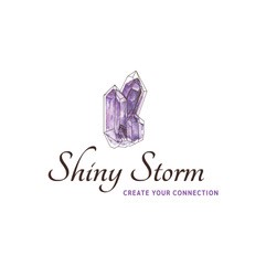 Shiny Storm - logo.jpg