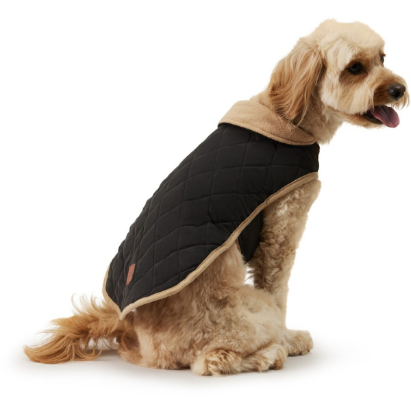 Perfect Pet Country Quilted Jacket - Big W - $20.png