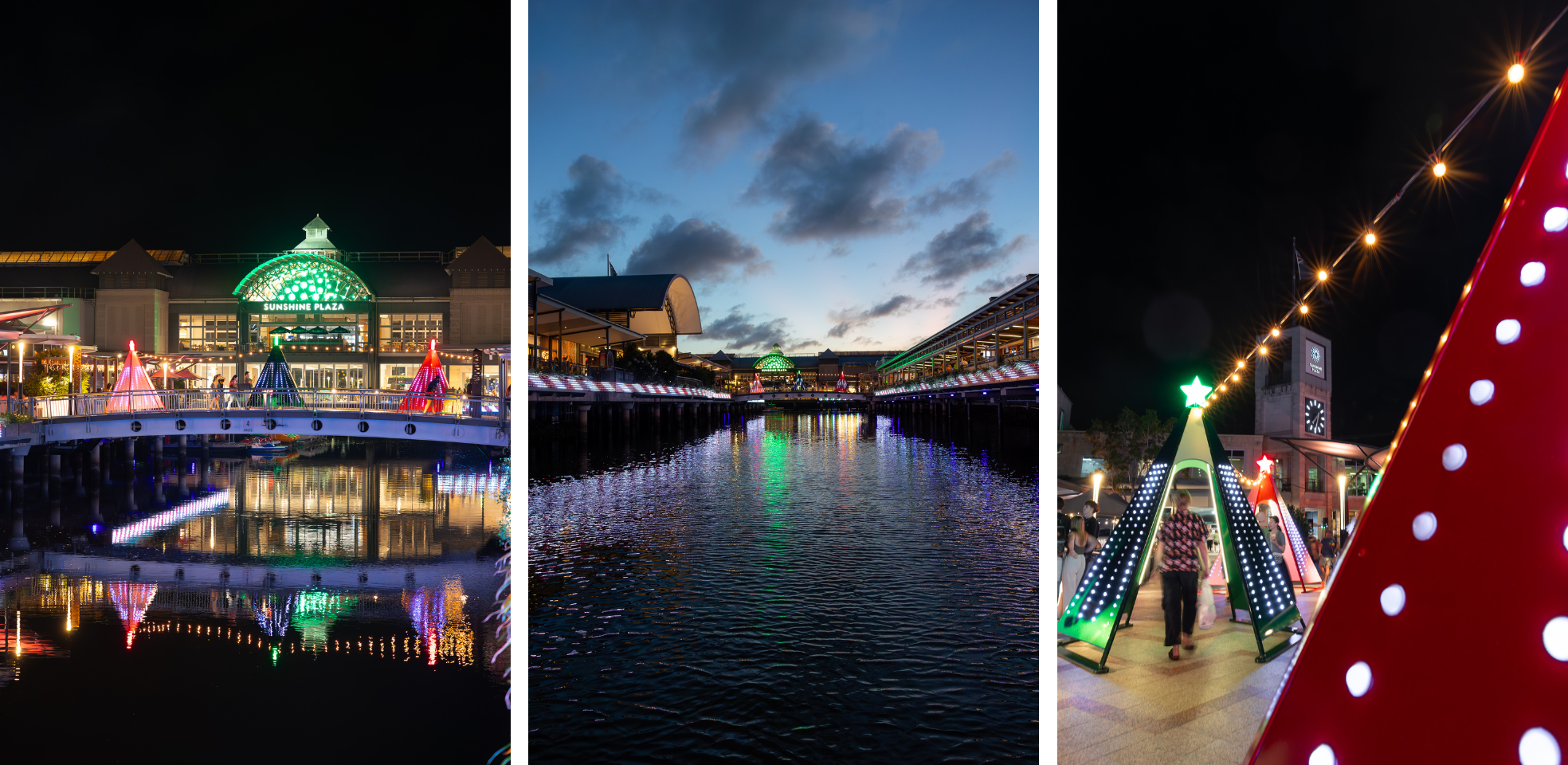 Sunshine Christmas Lights Photos 2