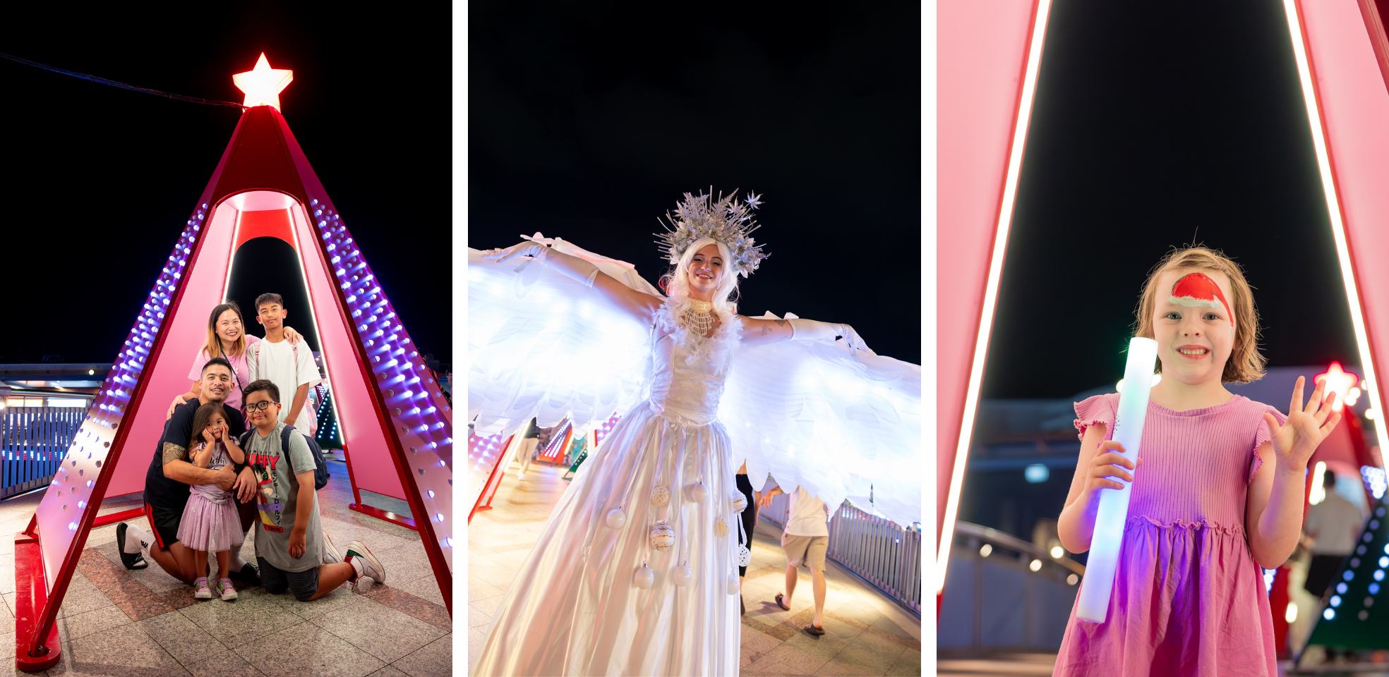 Sunshine Christmas Lights Photos 3